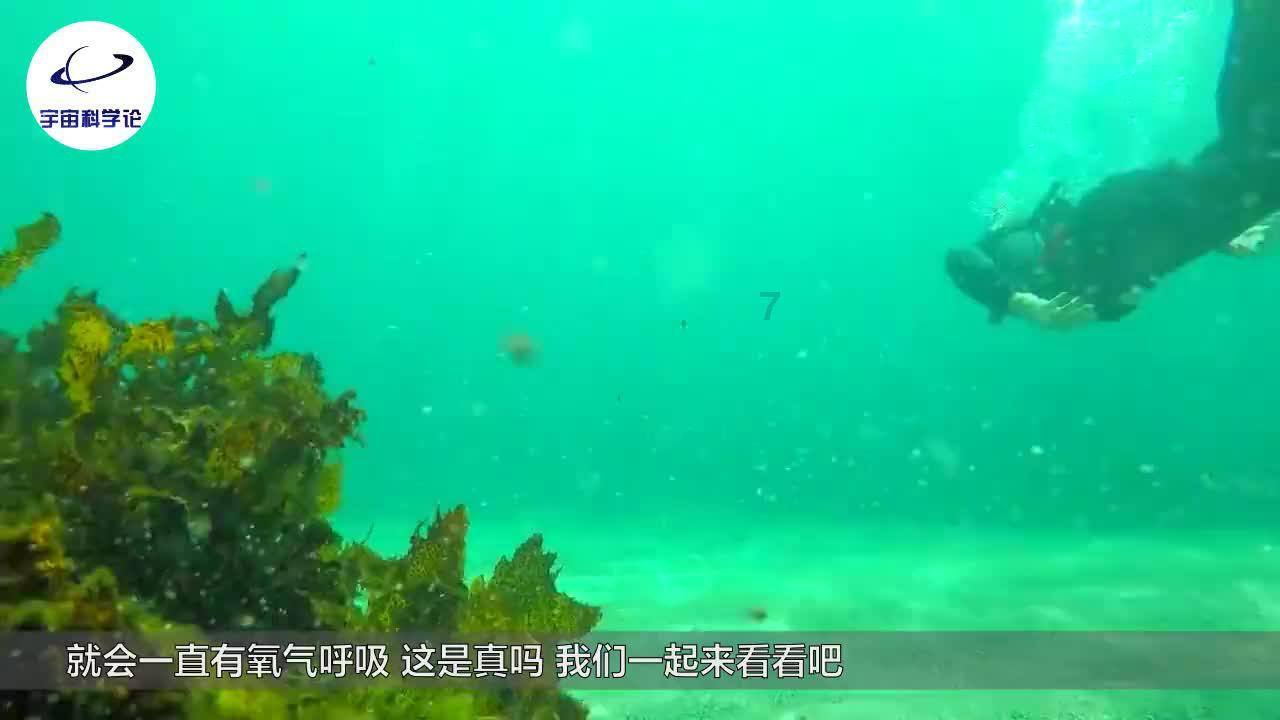 让你欲罢不能的在什么情况下存放普洱茶,转化的快?红迪网论坛